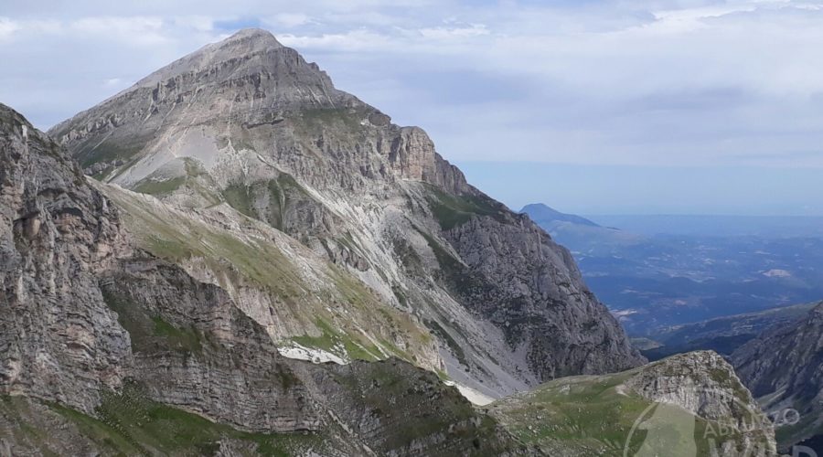 pizzo intermesoli